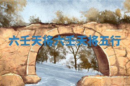 六壬天将 六壬天将五行