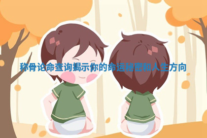 称骨论命查询揭示你的命运秘密和人生方向